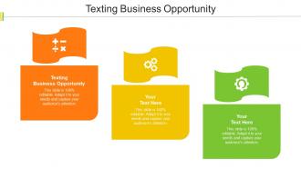 Texting Business Opportunity Ppt Powerpoint Presentation Gallery Graphics Download Cpb