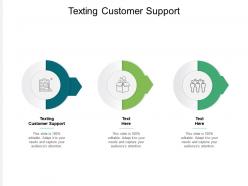 Texting customer support ppt powerpoint presentation infographics show cpb