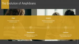 The Evolution Of Amphibians PPT Slides ACP