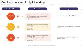 The Future Of Financing Digital Credit Risk Concerns In Digital Lending