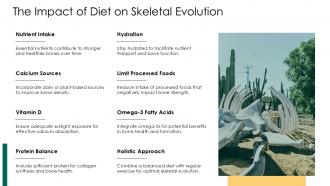 The Impact Of Diet On Skeletal Evolution PPT Slides ACP