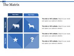 The matrix ppt summary infographics