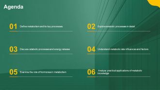 The Science Of Metabolism PPT Structure AT Analytical Designed