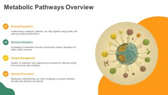 The Science Of Metabolism PPT Structure AT Attractive Designed