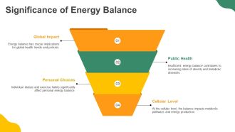 The Science Of Metabolism PPT Structure AT Graphical Designed