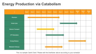 The Science Of Metabolism PPT Structure AT Template Professional
