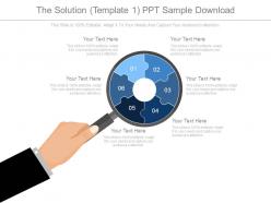 The solution template1 ppt sample download