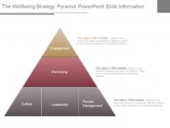The Wellbeing Strategy Pyramid Powerpoint Slide Information