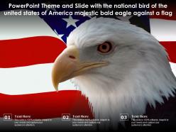 Theme slide with national bird of united states of america majestic bald eagle against a flag