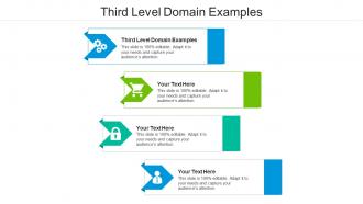 Third level domain examples ppt powerpoint presentation show diagrams cpb