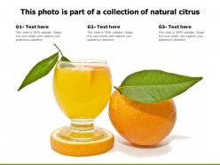 This photo is part of a collection of natural citrus