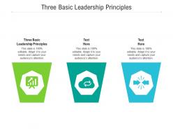 Three basic leadership principles ppt powerpoint presentation layouts demonstration cpb