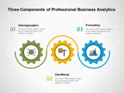 Three components of professional business analytics