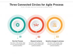 Three connected circles for agile process