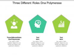 Three different roles dna polymerase ppt powerpoint presentation outline example file cpb