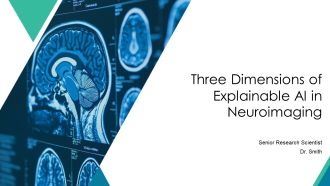 Three Dimensions Of Explainable AI In Neuroimaging PPT Sample AT