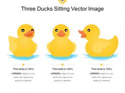 Three ducks sitting vector image