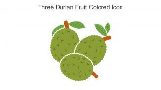 Three Durian Fruit Colored Icon In Powerpoint Pptx Png And Editable Eps Format