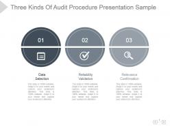 Three kinds of audit procedure presentation sample