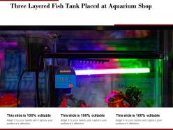 Three Layered Fish Tank Placed At Aquarium Shop
