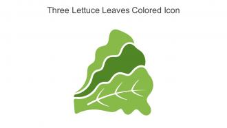 Three Lettuce Leaves Colored Icon In Powerpoint Pptx Png And Editable Eps Format