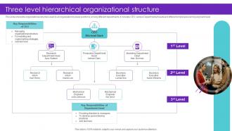 Three Level Hierarchical Organizational Structure