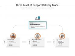 Three level of support delivery model