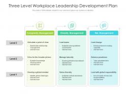 Three level workplace leadership development plan