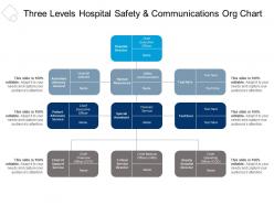 Three Levels Hospital Safety And Communications Org Chart
