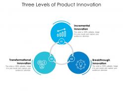Three levels of product innovation