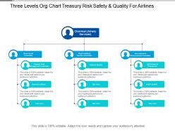 Three levels org chart treasury risk safety and quality for airlines