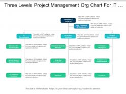 Three levels project management org chart for it company