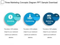 Three marketing concepts diagram ppt sample download