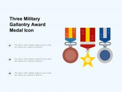 Three Military Gallantry Award Medal Icon