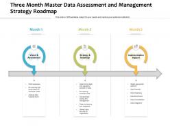 Three Month Master Data Assessment And Management Strategy Roadmap