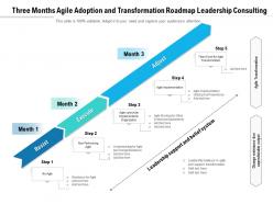 Three months agile adoption and transformation roadmap leadership consulting