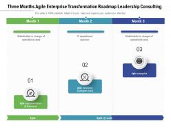 Three months agile enterprise transformation roadmap leadership consulting