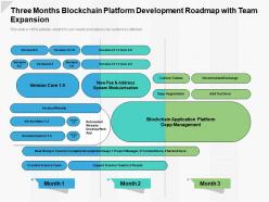 Three months blockchain platform development roadmap with team expansion