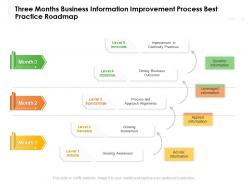 Three months business information improvement process best practice roadmap