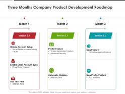 Three months company product development roadmap