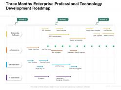 Three months enterprise professional technology development roadmap