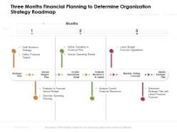 Three months financial planning to determine organization strategy roadmap