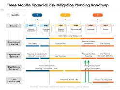 Three Months Financial Risk Mitigation Planning Roadmap