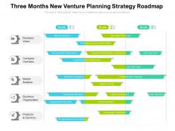 Three months new venture planning strategy roadmap