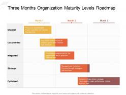 Three months organization maturity levels roadmap