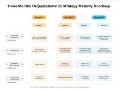 Three months organizational bi strategy maturity roadmap