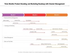 Three months product branding and marketing roadmap with channel management