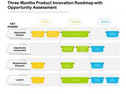 Three months product innovation roadmap with opportunity assessment