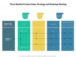 Three months product sales strategy and roadmap meeting