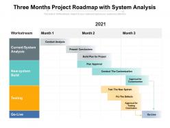 Three months project roadmap with system analysis